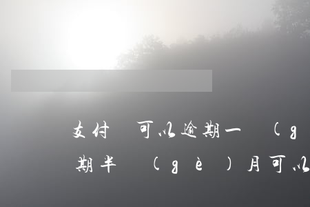 支付寶可以逾期一個(gè)月嗎(支付寶逾期半個(gè)月可以嗎)