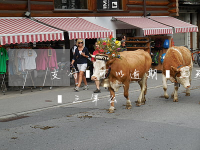 支付寶可以逾期兩三天嗎（支付寶逾期可以延長三年么）