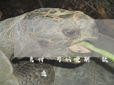 支付寶可以逾期還款嗎（支付寶逾期還了還能開通嗎）