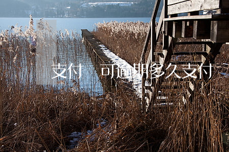 支付寶可逾期多久(支付寶可逾期多久)