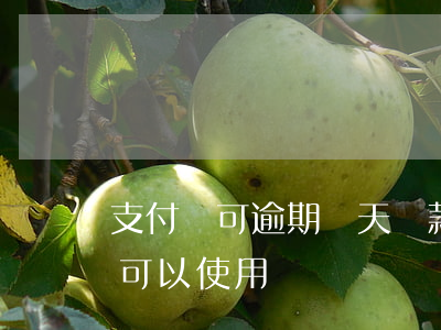 支付寶可逾期幾天還款(支付寶逾期還了多久可以使用)
