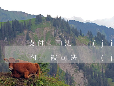 支付寶司法凍結(jié)不處理可以嗎(支付寶被司法凍結(jié)了不處理會怎么樣?)