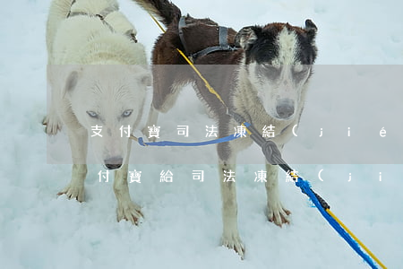 支付寶司法凍結(jié)了可以注銷嗎(支付寶給司法凍結(jié)解除后支付沒解除怎么辦)