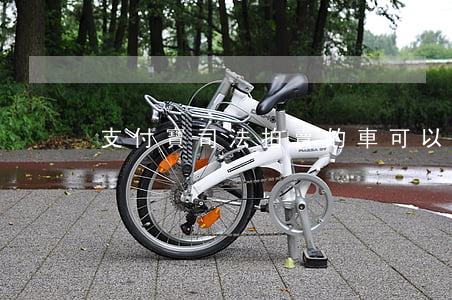 支付寶司法拍賣的車可以買嗎