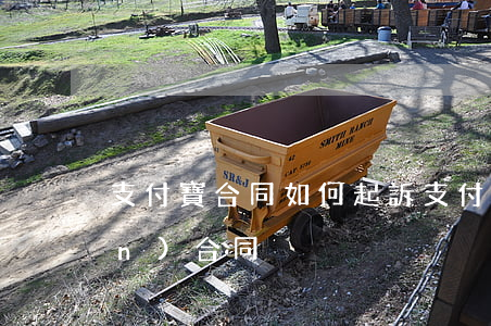 支付寶合同如何起訴 支付寶的相關(guān)合同