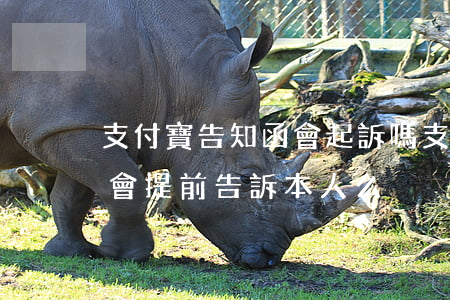 支付寶告知函會起訴嗎(支付寶發(fā)函會提前告訴本人么)