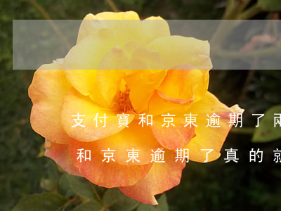 支付寶和京東逾期了兩個(gè)月 支付寶和京東逾期了真的就借不到了嗎