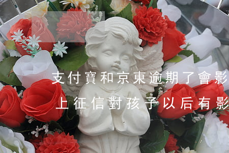 支付寶和京東逾期了會影響征信嗎(京東逾期上征信對孩子以后有影響嗎)