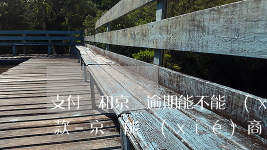 支付寶和京東逾期能不能協(xié)商還款-京東能協(xié)商還款嗎
