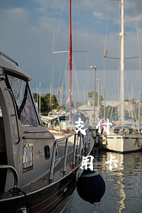 支付寶和信用卡不還會(huì)坐牢(欠信用卡錢(qián)和支付寶有關(guān)系嗎)