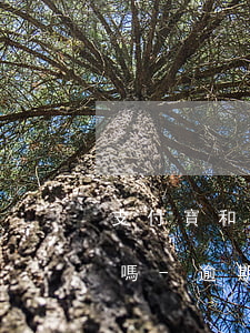 支付寶和信用卡逾期不還會(huì)坐牢嗎-逾期多久會(huì)被列入失信人名單