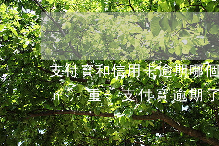 支付寶和信用卡逾期哪個(gè)嚴(yán)重-支付寶逾期了對(duì)信用卡有影響沒(méi)有