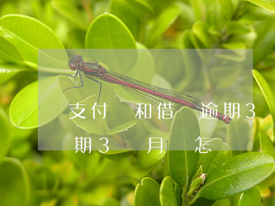 支付寶和借唄逾期3個月-支付寶和借唄逾期3個月會怎樣