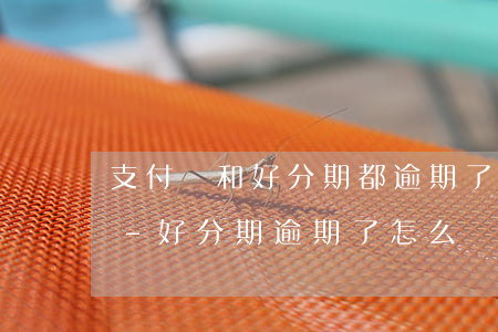 支付寶和好分期都逾期了先還哪個(gè)-好分期逾期了怎么辦,都會(huì)還就是逾期了才還