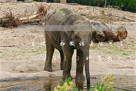 支付寶和微信法院可以執(zhí)行嗎(執(zhí)行局能執(zhí)行微信支付寶嗎)