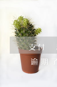 支付寶和微粒貸有過(guò)逾期(支付寶逾期了微粒貸也用不了嗎?)