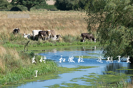 支付寶和微粒貸逾期了(支付寶和微粒貸逾期了)