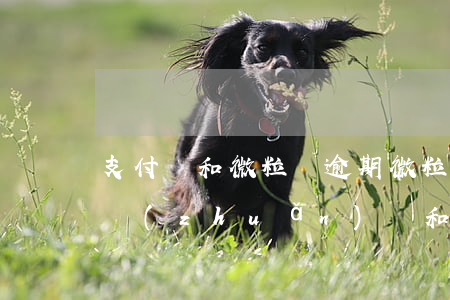 支付寶和微粒貸逾期(微粒貸逾期影響支付寶轉(zhuǎn)賬和付款嗎)