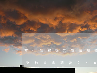 支付寶和微粒貸逾期會(huì)被起訴嗎 微粒貸逾期會(huì)起訴么