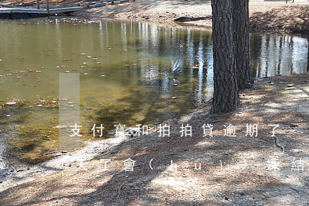 支付寶和拍拍貸逾期了-拍拍貸逾期300天了,會(huì)凍結(jié)支付寶和微信嗎