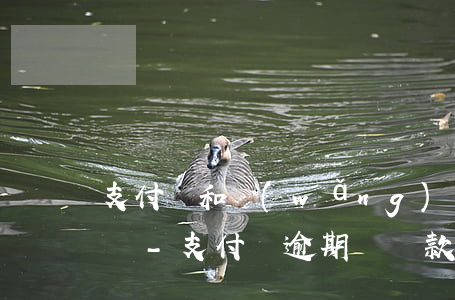 支付寶和網(wǎng)貸逾期了影響供車嗎-支付寶逾期對貸款買車有影響嗎