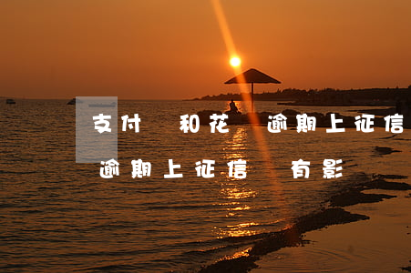 支付寶和花唄逾期上征信嗎-支付寶和花唄逾期上征信嗎有影響嗎
