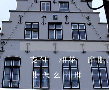 支付寶和花唄逾期怎么辦-支付寶和花唄逾期怎么辦理