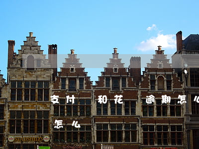 支付寶和花唄逾期怎么辦(支付寶和花唄逾期怎么辦)
