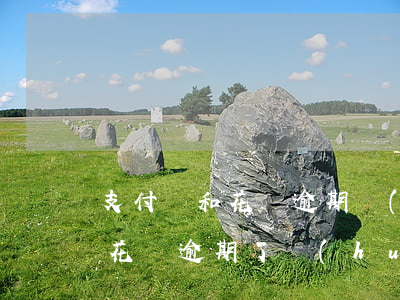 支付寶和花唄逾期會(huì)怎樣(支付寶花唄逾期了會(huì)怎么樣嗎)