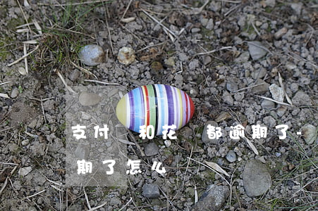 支付寶和花唄都逾期了-支付寶和花唄都逾期了怎么辦
