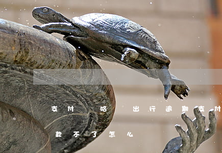 支付寶哈羅出行逾期支付(哈啰出行逾期了付款不了怎么辦)
