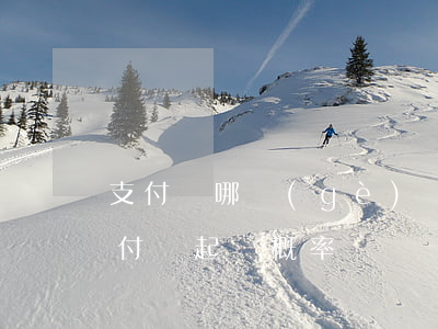 支付寶哪個(gè)臺(tái)被起訴(支付寶起訴概率)