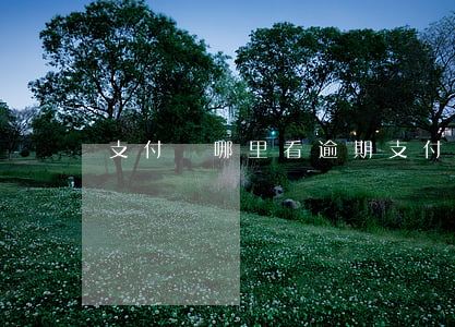 支付寶哪里看逾期(支付寶我的逾期怎么看)