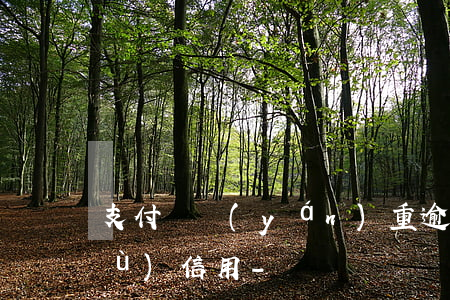 支付寶嚴(yán)重逾期后如何恢復(fù)信用-