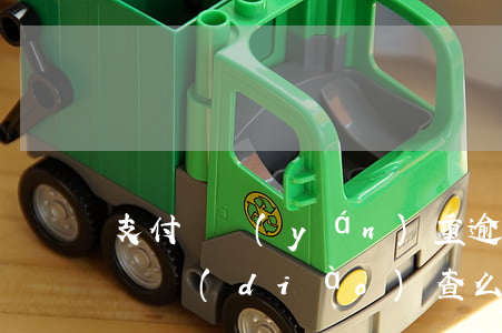 支付寶嚴(yán)重逾期會(huì)上門調(diào)查么