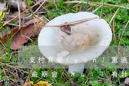 支付寶嚴(yán)重逾期的后果-支付寶逾期會(huì)有什么大問題嘛?