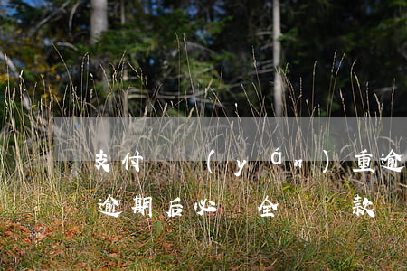支付寶嚴(yán)重逾期還款以后(支付寶逾期后必須全額還款)