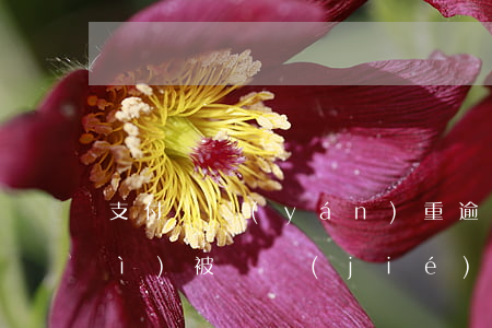 支付寶嚴(yán)重逾期銀行卡會(huì)被凍結(jié)嗎-支付寶嚴(yán)重逾期銀行卡會(huì)被凍結(jié)嗎怎么解凍