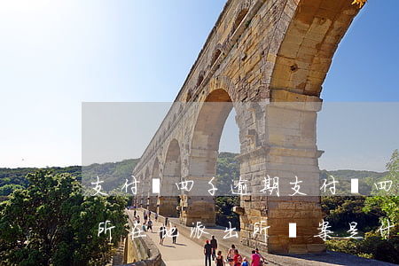 支付寶四千逾期(支付寶四千逾期半年去戶籍所在地派出所備案是什么意思)