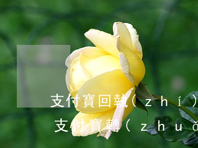 支付寶回執(zhí)單可以做法院起訴嗎(支付寶轉(zhuǎn)賬有回執(zhí)單嗎)