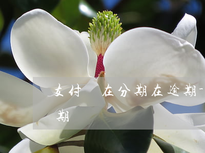 支付寶在分期在逾期-支付寶逾期能停息分期嗎