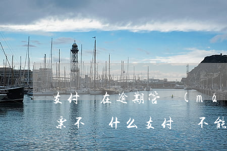 支付寶在逾期管買(mǎi)車(chē)票不(為什么支付寶不能看車(chē)票)
