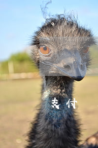 支付寶外訪起訴(支付寶外訪部合法不)
