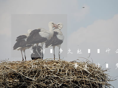 支付寶多久起訴為什么有的人一年多都沒(méi)事（支付寶多久法院起訴）