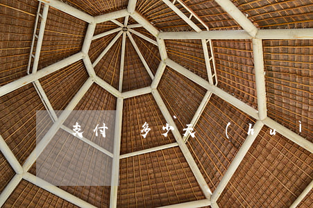 支付寶多少天會(huì)被起訴