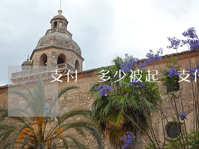 支付寶多少被起訴(支付寶多少會起訴)