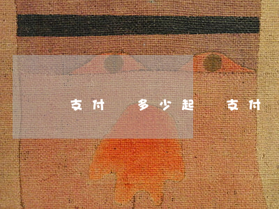 支付寶多少起訴(支付寶起訴概率)