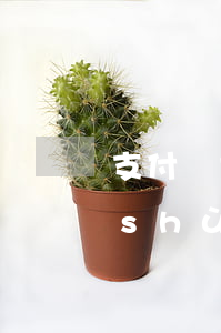 支付寶大概有多少人逾期(支付寶逾期人數(shù))