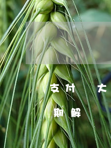 支付寶大額度逾期解決辦法(支付寶大額度逾期解決辦法)