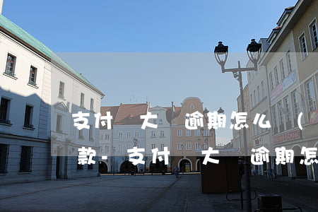 支付寶大額逾期怎么協(xié)商延期還款-支付寶大額逾期怎么協(xié)商延期還款的